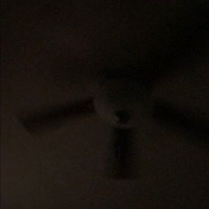 Meet your Posher, Jennie